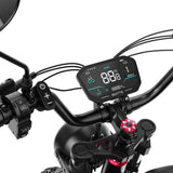 [US warehouse] DUOTTS F20 Electric Bike 1000 W Powerful Motor,130-140 KM Extended Range（副本）