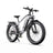 F26 Lite Electric Bike