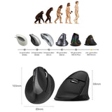 DELUX M618 Mini 2.4G Wireless 2400DPI USB Rechargeable Ergonomic Vertical Mouse, M618 Pink - LYDARZ
