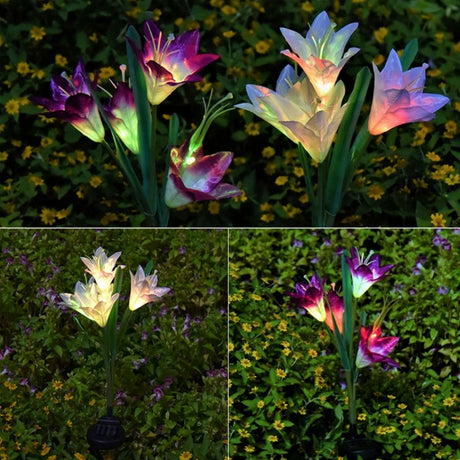 Simulated Lily Flower 4 Heads Solar Powered Outdoor IP55 Waterproof LED Decorative Lawn Lamp - LYDARZ