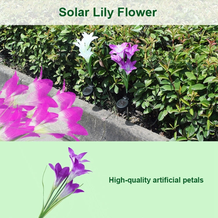 Simulated Lily Flower 4 Heads Solar Powered Outdoor IP55 Waterproof LED Decorative Lawn Lamp, Colorful Light, Colorful Light