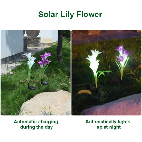 Simulated Lily Flower 4 Heads Solar Powered Outdoor IP55 Waterproof LED Decorative Lawn Lamp - LYDARZ