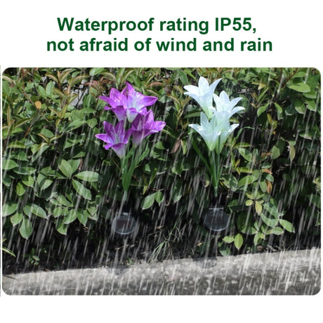 Simulated Lily Flower 4 Heads Solar Powered Outdoor IP55 Waterproof LED Decorative Lawn Lamp - LYDARZ