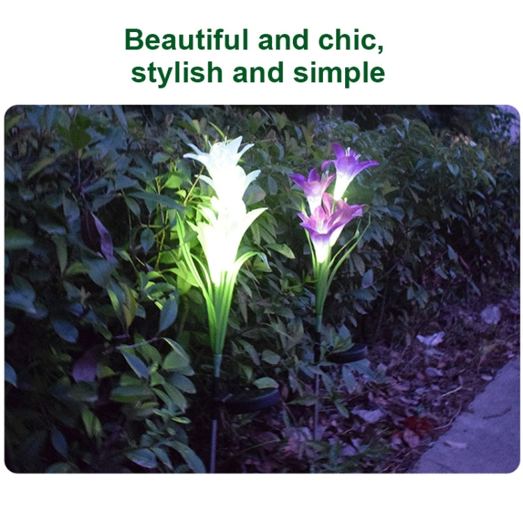 Simulated Lily Flower 4 Heads Solar Powered Outdoor IP55 Waterproof LED Decorative Lawn Lamp, Colorful Light, Colorful Light