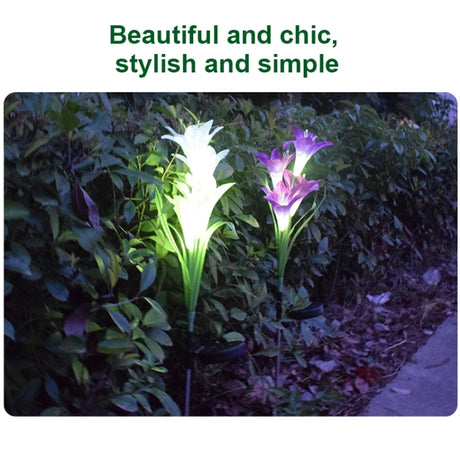Simulated Lily Flower 4 Heads Solar Powered Outdoor IP55 Waterproof LED Decorative Lawn Lamp - LYDARZ