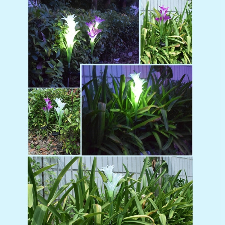 Simulated Lily Flower 4 Heads Solar Powered Outdoor IP55 Waterproof LED Decorative Lawn Lamp, Colorful Light, Colorful Light