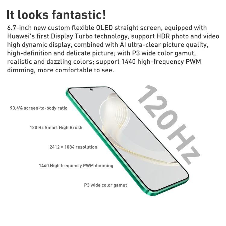 HUAWEI Nnova 11 FOA-AL00 Dual Back Cameras, Screen Fingerprint Identification, 6.7 inch HarmonyOS Qualcomm Snapdragon 778G 4G Octa Core up to 2.4GHz, Network: 4G, OTG, NFC, Not Support Google Play, nova 11 256GB