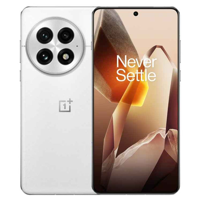 OnePlus 13 PJZ110, 12GB+256GB, Screen Fingerprint Identification, 6.82 inch ColorOS 15.0 / Android 15 Snapdragon 8 Elite 3nm Octa Core, NFC, Network: 5G, 12GB+256GB