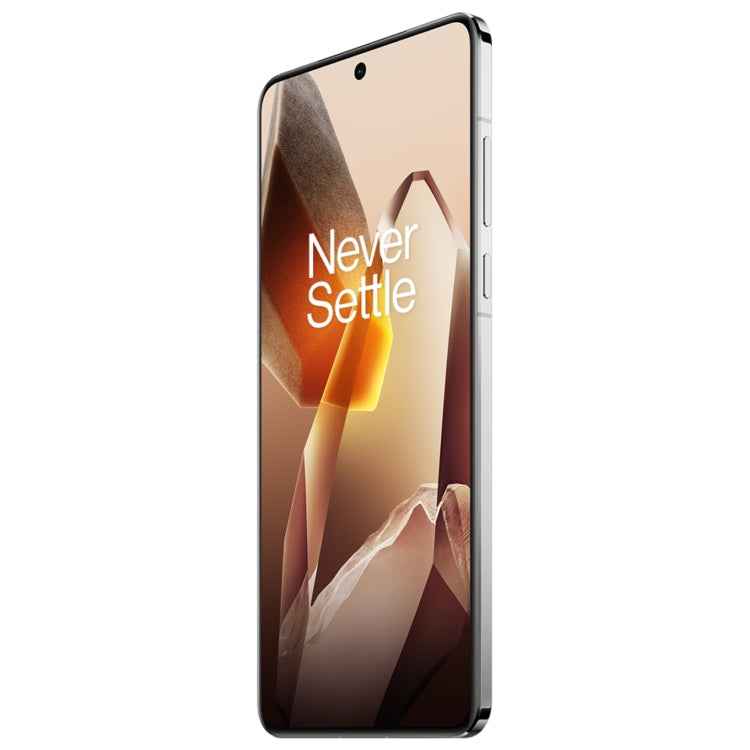 OnePlus 13 PJZ110, 12GB+256GB, Screen Fingerprint Identification, 6.82 inch ColorOS 15.0 / Android 15 Snapdragon 8 Elite 3nm Octa Core, NFC, Network: 5G, 12GB+256GB