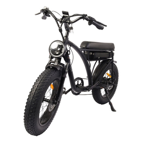 BEZIOR XF001 1000W Retro E-Bike: 48V, 20" Tires, LCD Display - LYDARZ