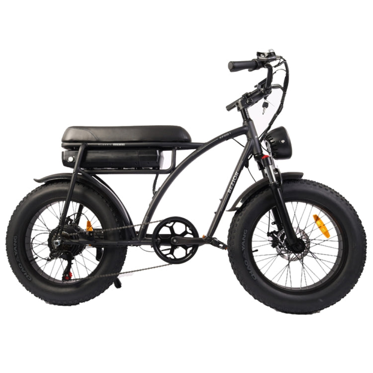 BEZIOR XF001 1000W Retro E-Bike: 48V, 20" Tires, LCD Display - LYDARZ