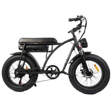 BEZIOR XF001 1000W Retro E-Bike: 48V, 20" Tires, LCD Display - LYDARZ