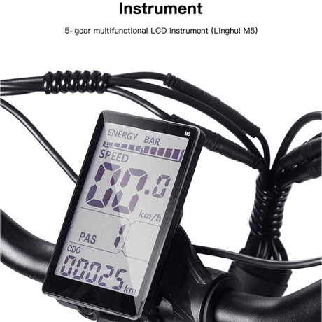 BEZIOR XF001 1000W Retro E-Bike: 48V, 20" Tires, LCD Display - LYDARZ
