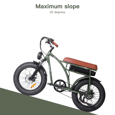 BEZIOR XF001 1000W Retro E-Bike: 48V, 20" Tires, LCD Display - LYDARZ