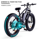 NIUBILITY B26 42V 1000W E-Bike w/ LCD, 26" Tires, EU Plug