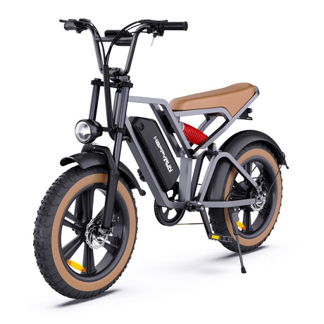 HappyRun G60 750W E-Bike: 48V, 20" Tires, LED Display, US/EU Plug - LYDARZ
