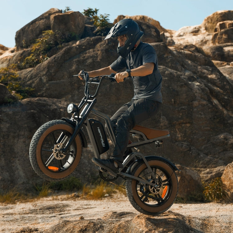 HappyRun G60 750W E-Bike: 48 V, 20-Zoll-Reifen, LED-Display, US/EU-Stecker