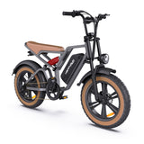 HappyRun G60 750W E-Bike: 48V, 20" Tires, LED Display, US/EU Plug - LYDARZ