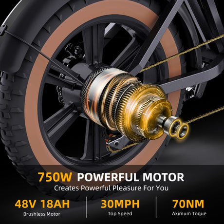 HappyRun G60 750W E-Bike: 48V, 20" Tires, LED Display, US/EU Plug - LYDARZ