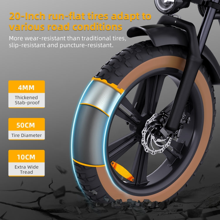HappyRun G60 750W E-Bike: 48V, 20" Tires, LED Display, US/EU Plug - LYDARZ