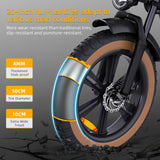 HappyRun G60 750W E-Bike: 48V, 20" Tires, LED Display, US/EU Plug - LYDARZ