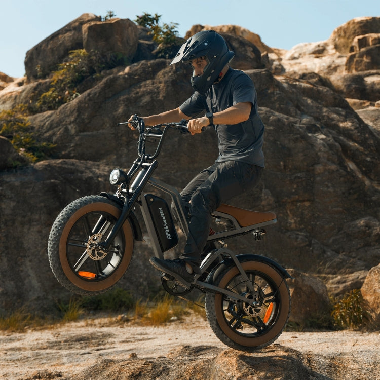 HappyRun G60 750W E-Bike: 48V, 20" Tires, LED Display, US/EU Plug - LYDARZ
