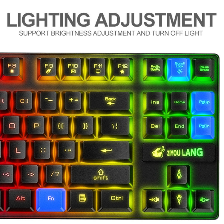 ZIYOU LANG T87 Gaming Luminous Wireless Keyboard and Mouse Set