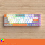 ZIYOU LANG T8 68 Keys RGB Gaming Mechanical Keyboard, Cable Length