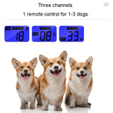 800m Dog Training Collar - Anti-Bark Vibration Collar with 1, 2, or 3 Collars