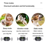 800m Dog Training Collar - Anti-Bark Vibration Collar with 1, 2, or 3 Collars