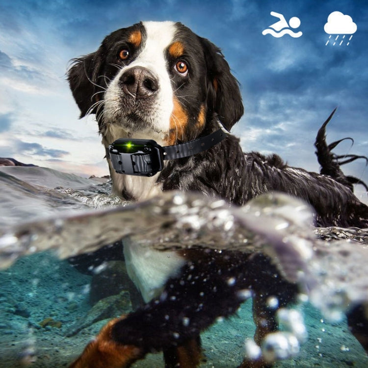 800m Dog Training Collar - Anti-Bark Vibration Collar with 1, 2, or 3 Collars