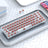 T-WOLF T40 68-Keys RGB Mixed Light Office Gaming Transparent Mechanical Keyboard - LYDARZ