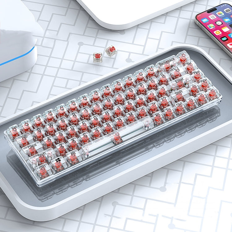 T-WOLF T40 68-Tasten RGB Mixed Light Office Gaming Transparente mechanische Tastatur