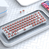 T-WOLF T40 68-Tasten RGB Mixed Light Office Gaming Transparente mechanische Tastatur