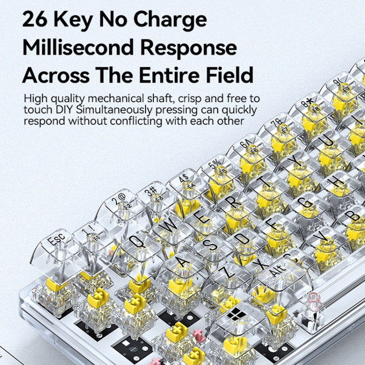 T-WOLF T40 68-Tasten RGB Mixed Light Office Gaming Transparente mechanische Tastatur