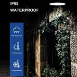 IP65 Waterproof Outdoor Solar LED Chandelier for Indoor and Outdoor Lighting