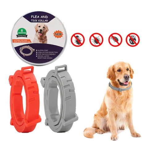 Flea & Tick Collar for Dogs & Cats – Aluminum Case, 72cm & 38cm (Gray, Orange, Blue, Pink) - LYDARZ