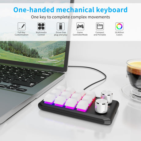 12 Keys Wired With RGB Lights Customized Office Keyboard Shortcut Keys Computer Audio Volume Control - LYDARZ