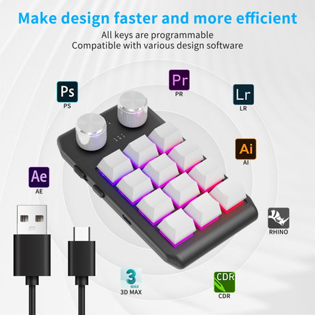 12 Keys Wired With RGB Lights Customized Office Keyboard Shortcut Keys Computer Audio Volume Control - LYDARZ