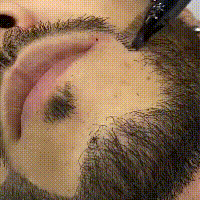 a22ef583-7018-4208-a9dd-e5ec91b6f137