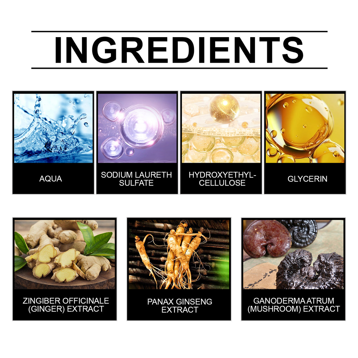 a6d89554-51ea-4f48-b28a-b12e9a6d074f