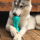 Pet Dog Cleaning Chew Toys,Pet Supplies