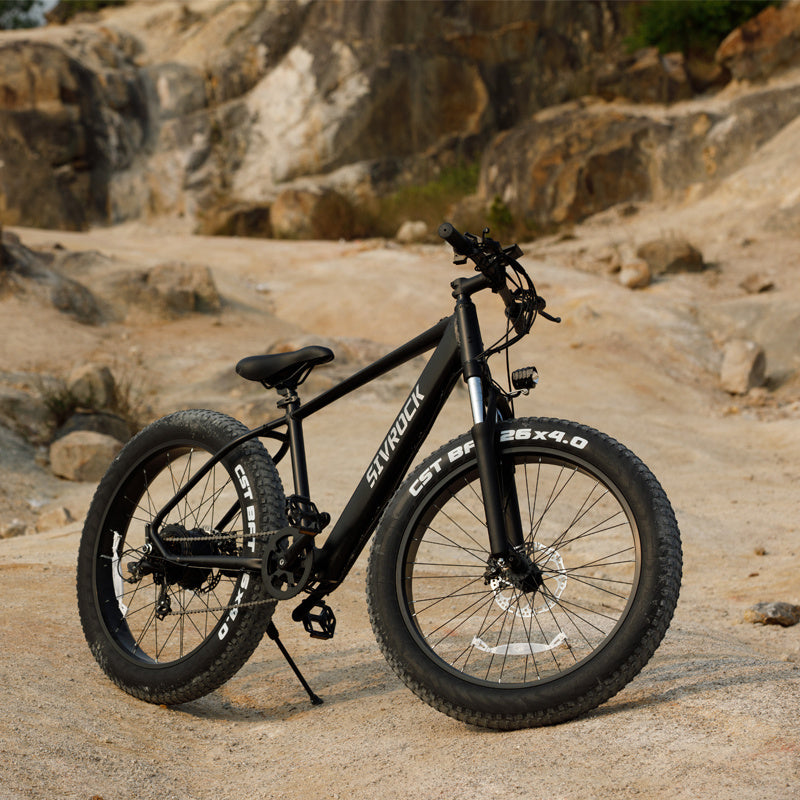 Professional Electric Bike For Adults,Electric Dirt Bikes