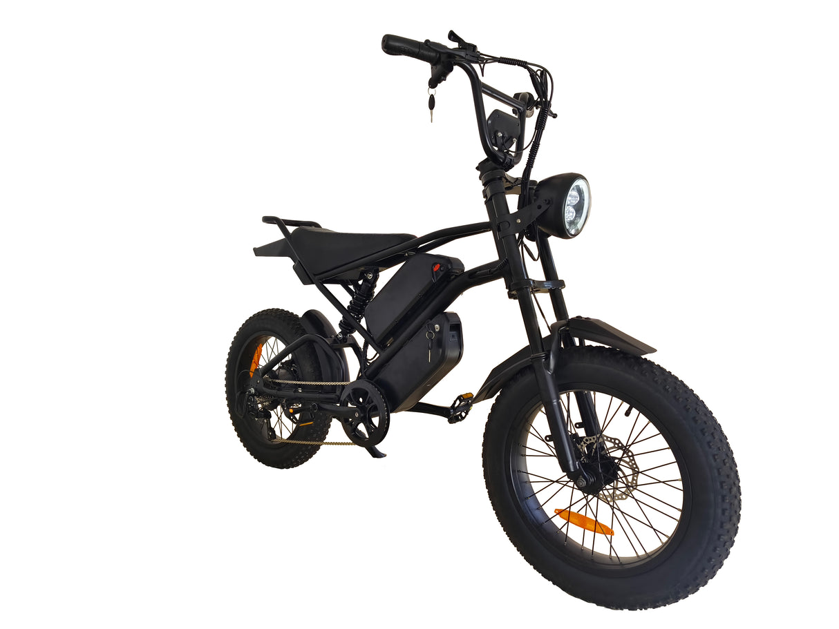 V2 Max Ebike 1000W Motor 48V30Ah Battery 20 Inches Max Speed 40-50KM